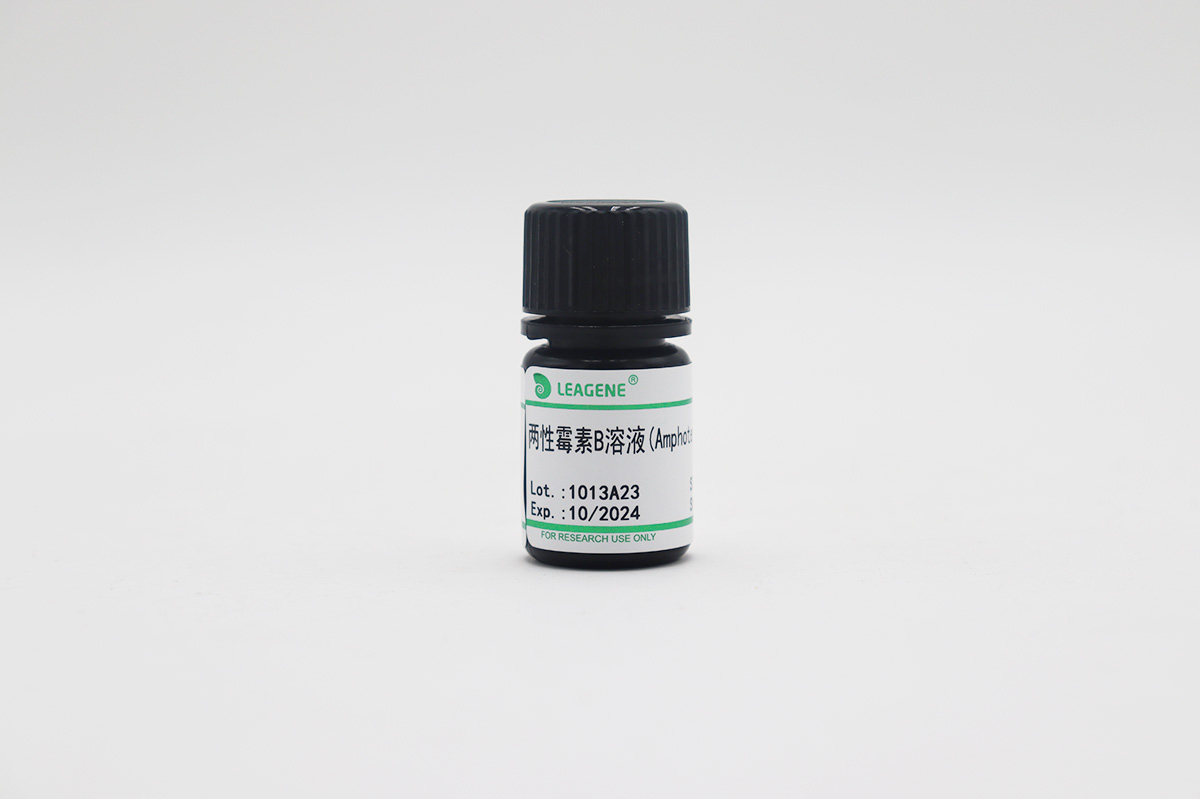 两性霉素B溶液(Amphotericin B,10mg/ml)