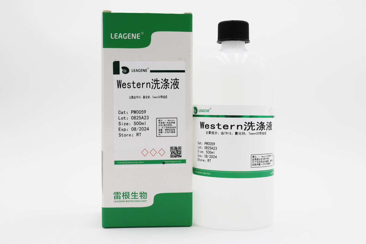 Western洗涤液