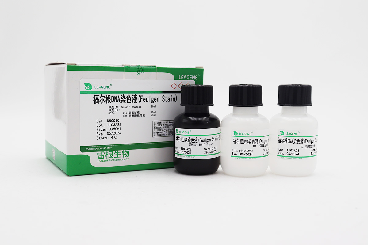 福尔根DNA染色液(Feulgen Stain)
