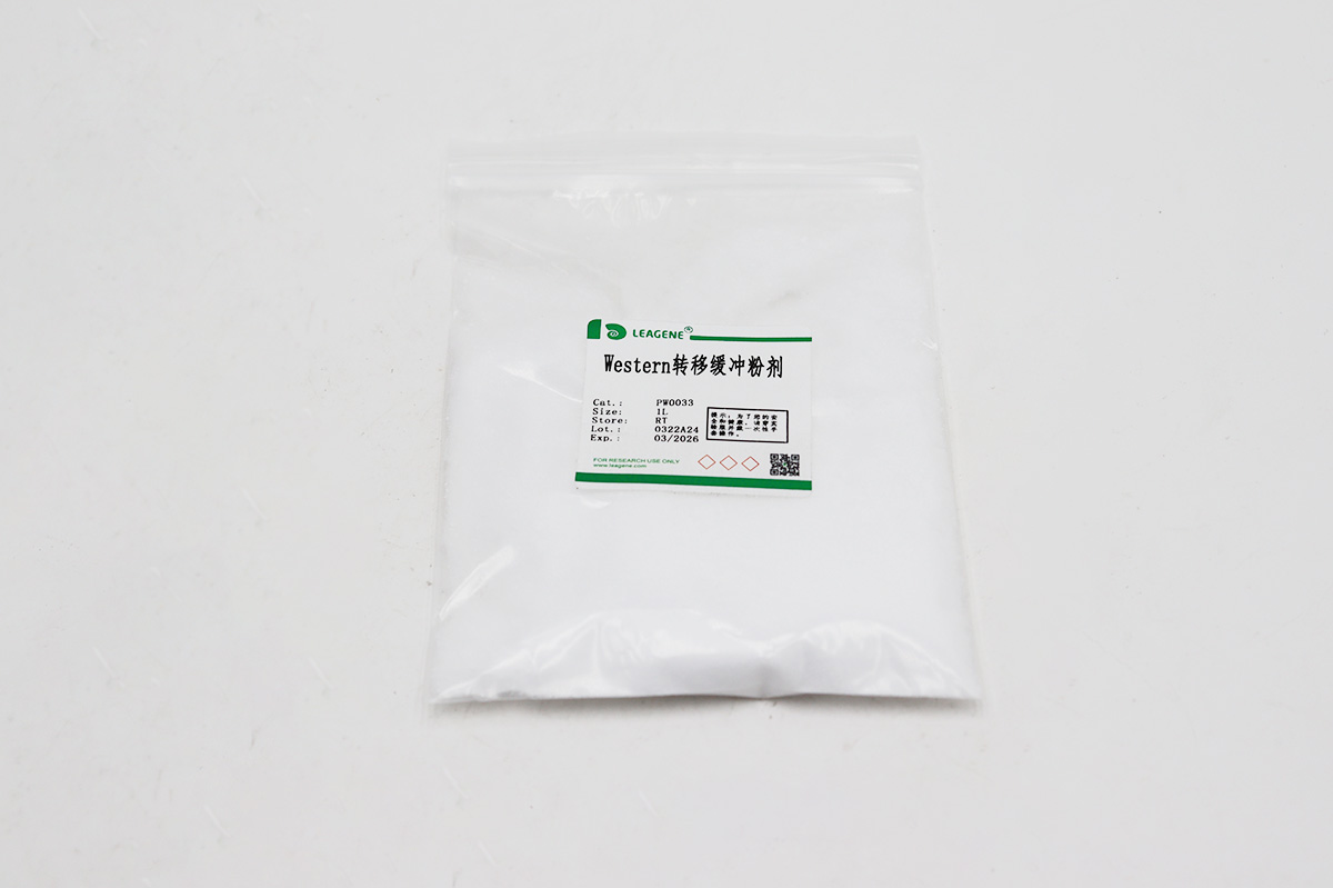 Western转移缓冲粉剂